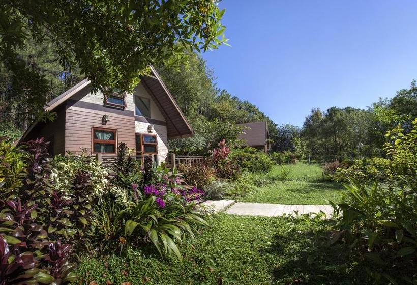 Khaokhoherbary Organicfarm&resort 1