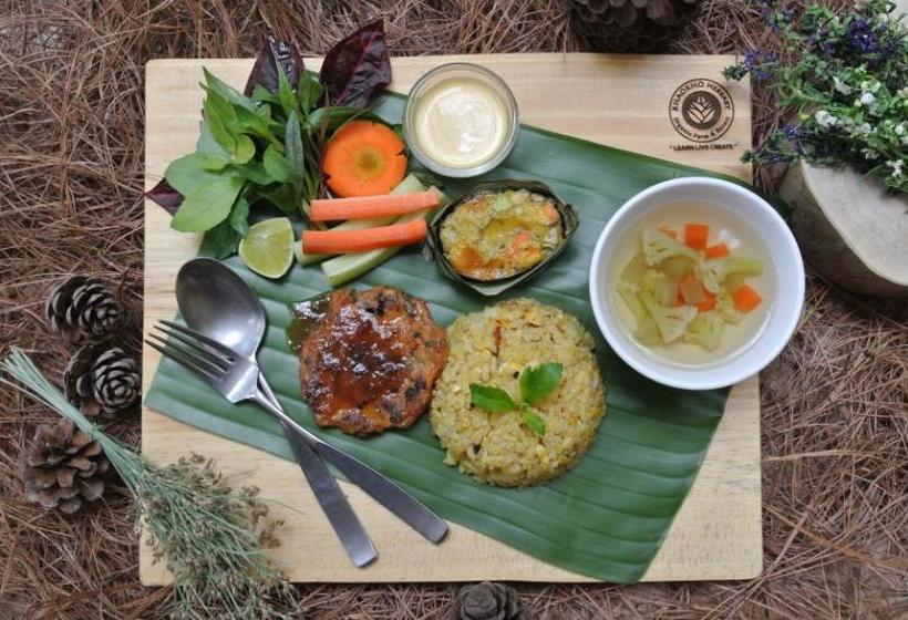 Khaokhoherbary Organicfarm&resort 10