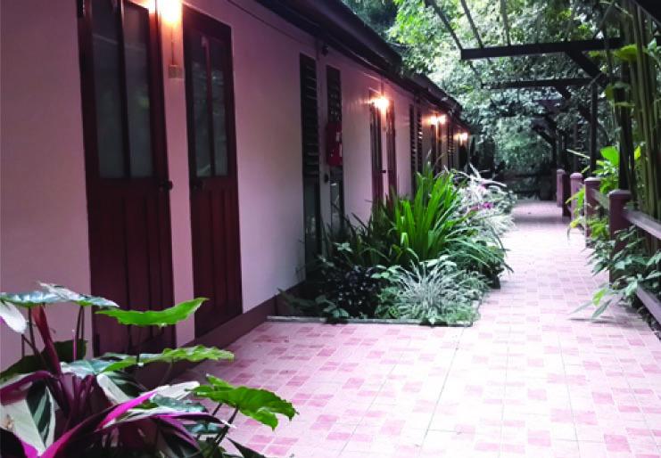 Khaokhoherbary Organicfarm&resort 13