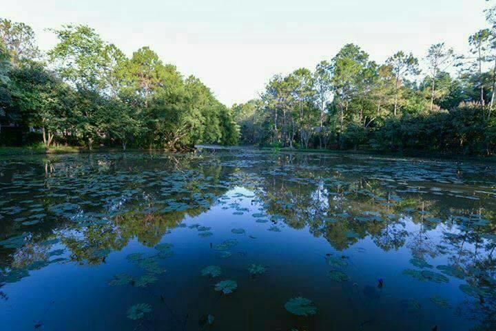 Khaokhoherbary Organicfarm&resort 16