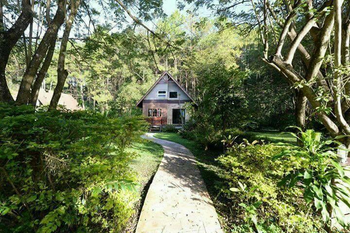 Khaokhoherbary Organicfarm&resort 17