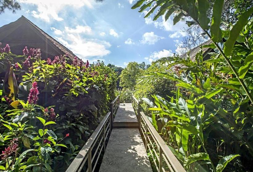 Khaokhoherbary Organicfarm&resort 6