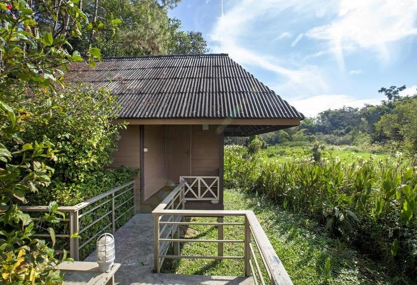 Khaokhoherbary Organicfarm&resort 7