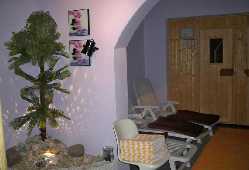 Hotel Gasthof Zum Döhlerwald 13