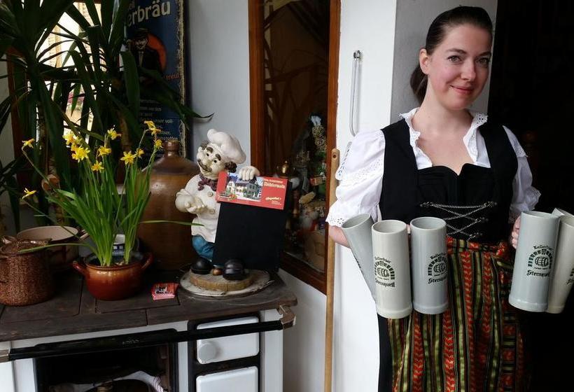 Hotel Gasthof Zum Döhlerwald 2