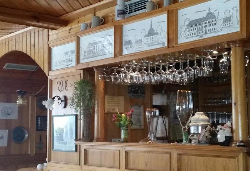 Hotel Gasthof Zum Döhlerwald 4