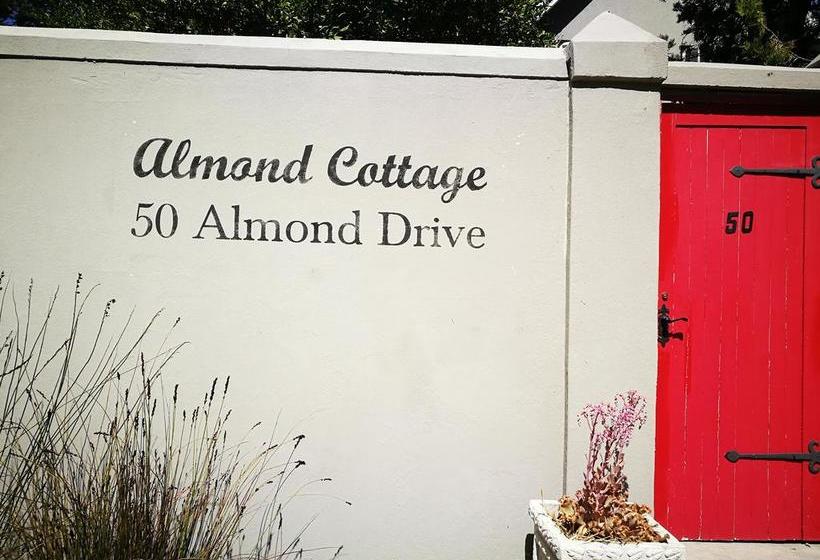 Almond Cottage Bed & Breakfast Western Cape