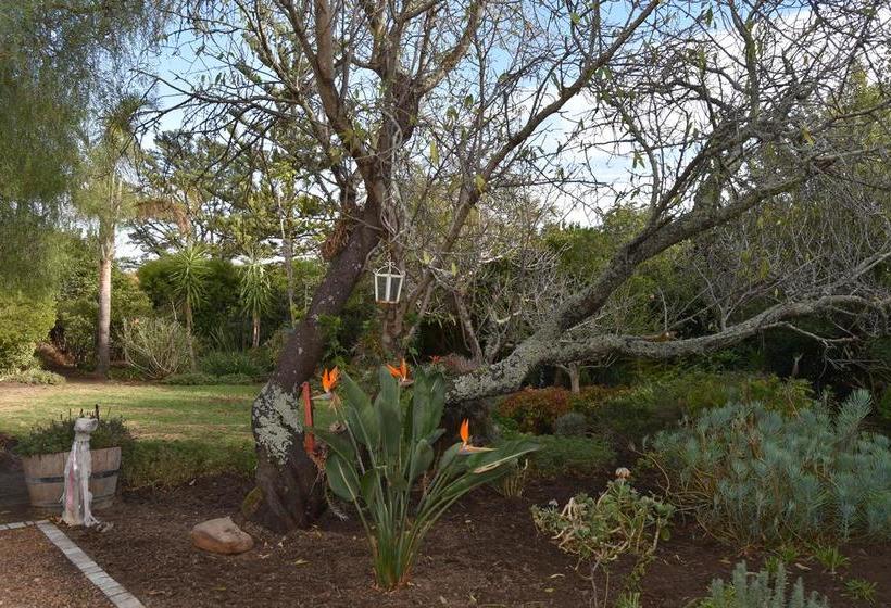 Almond Cottage Bed & Breakfast 1