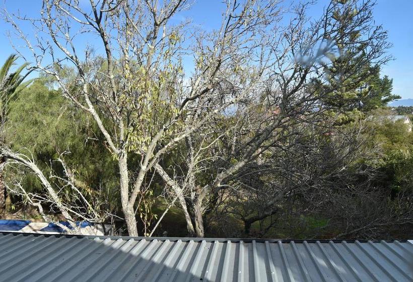 Almond Cottage Bed & Breakfast 15