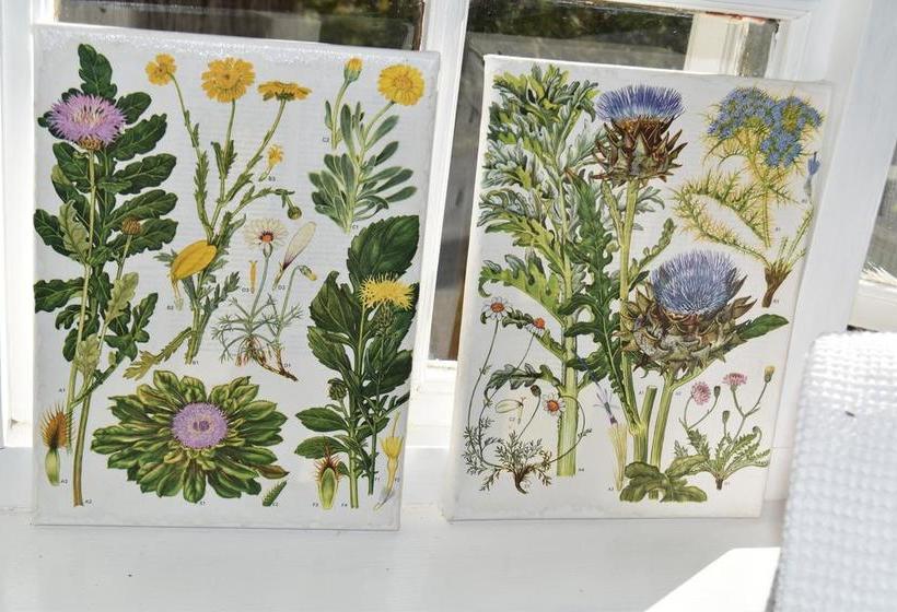 Almond Cottage Bed & Breakfast 16