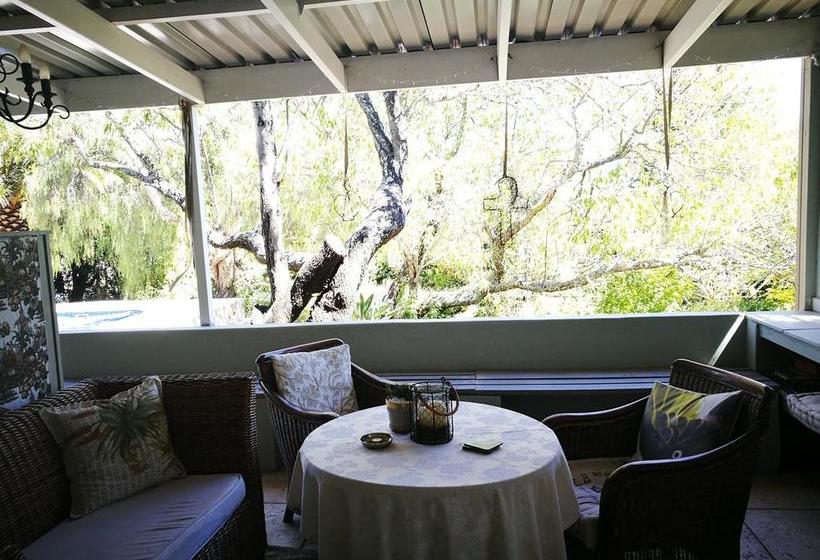 Almond Cottage Bed & Breakfast 18