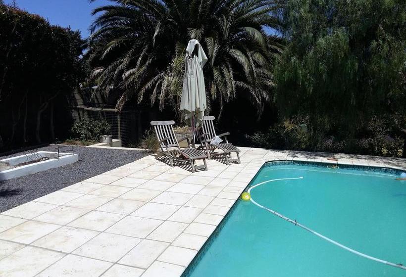 Almond Cottage Bed & Breakfast 20