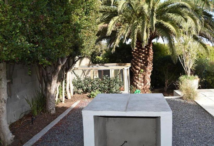 Almond Cottage Bed & Breakfast 5