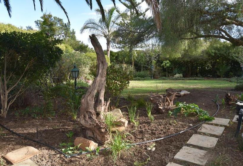 Almond Cottage Bed & Breakfast 6