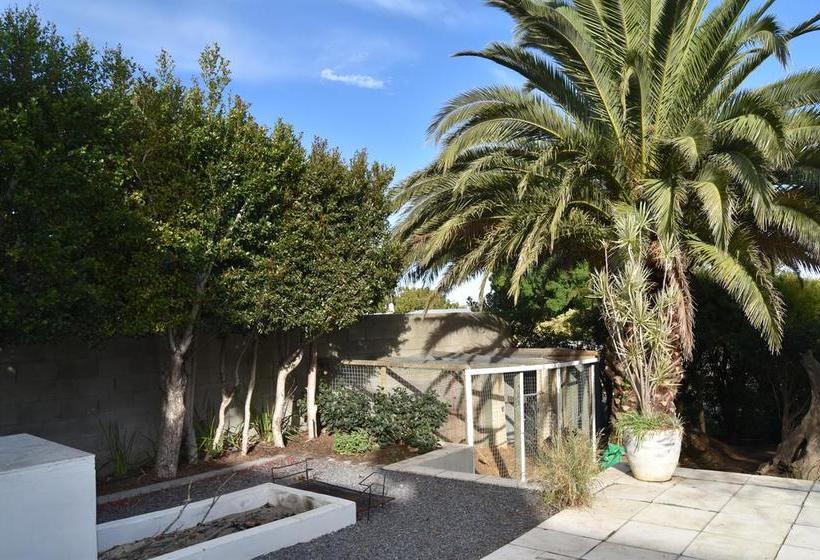 Almond Cottage Bed & Breakfast 8