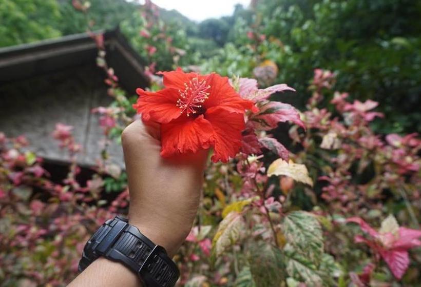 Resort Khao Sok Green Mountain View 11