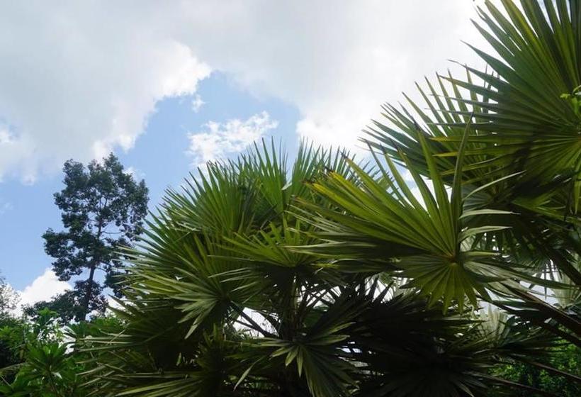 Resort Khao Sok Green Mountain View 19