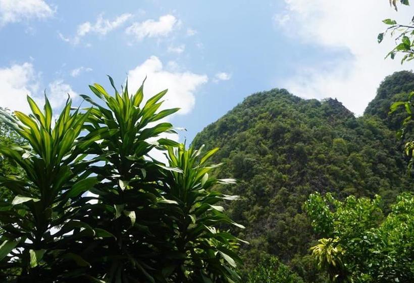 Resort Khao Sok Green Mountain View 8