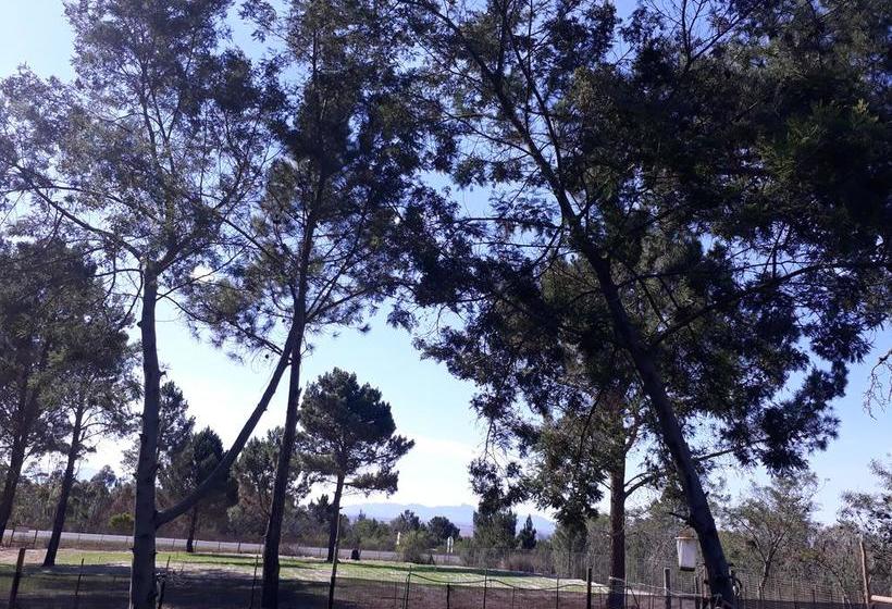 Bed and Breakfast Jacshaelm Albertinia Western Cape