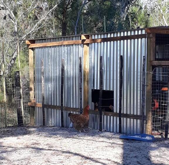 Bed and Breakfast Jacshaelm 11