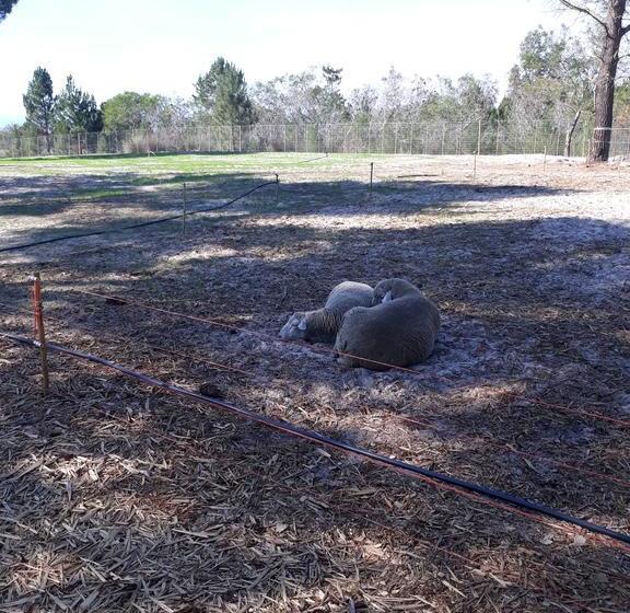 Bed and Breakfast Jacshaelm 12