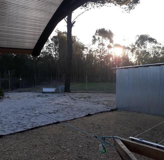 Bed and Breakfast Jacshaelm 14