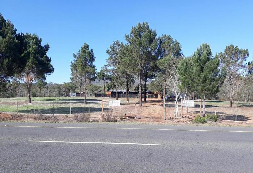 Bed and Breakfast Jacshaelm 6