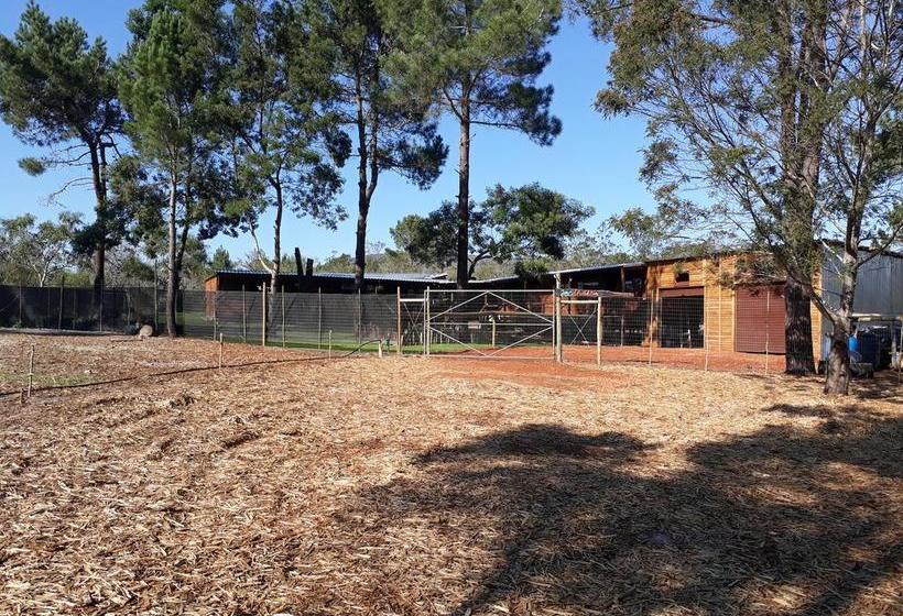 Bed and Breakfast Jacshaelm 7