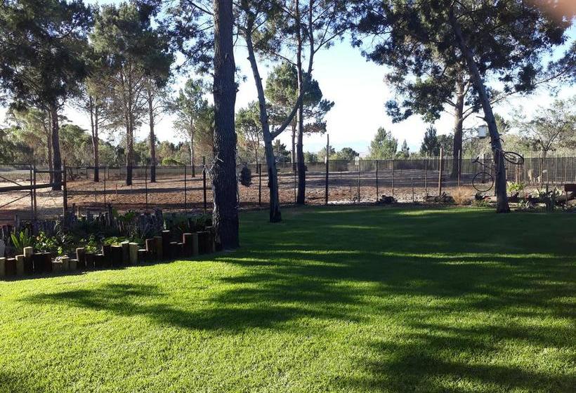 Bed and Breakfast Jacshaelm 9