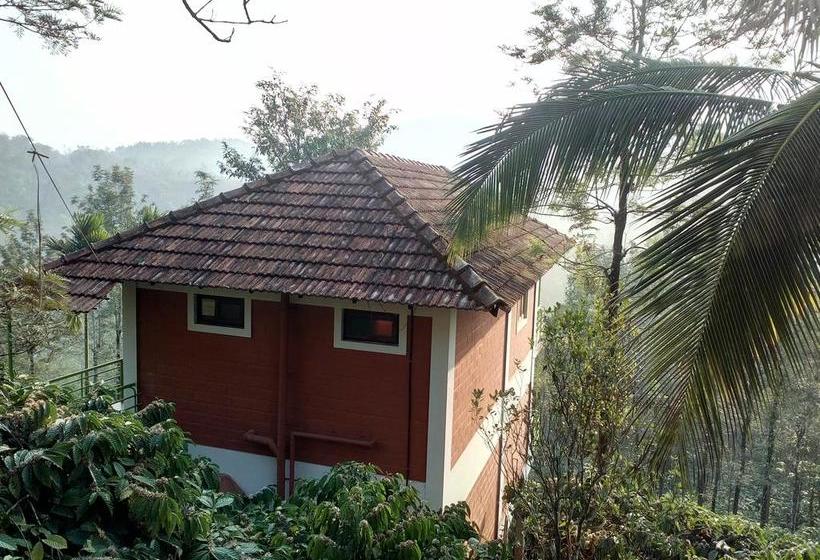 Resort Olive Mountain Hill View Kerala