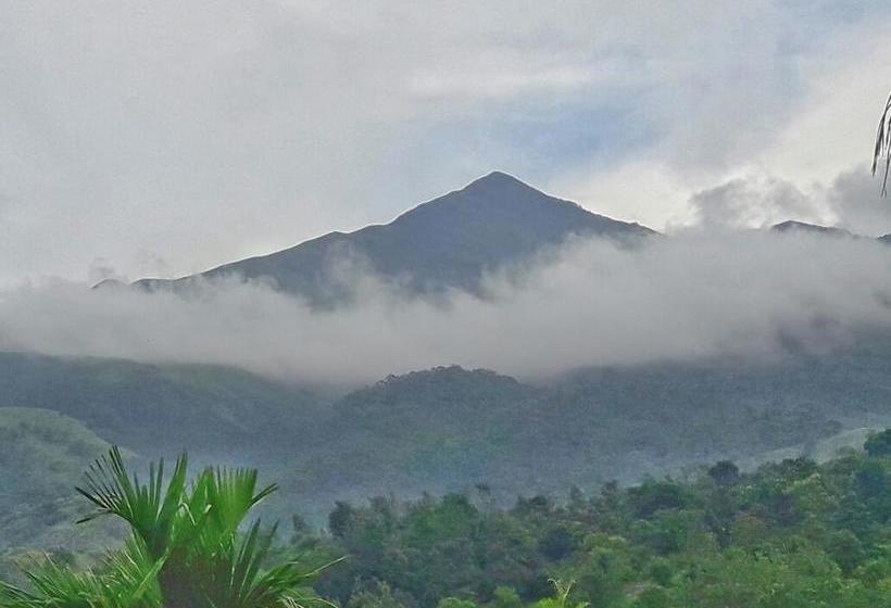 Resort Olive Mountain Hill View 1