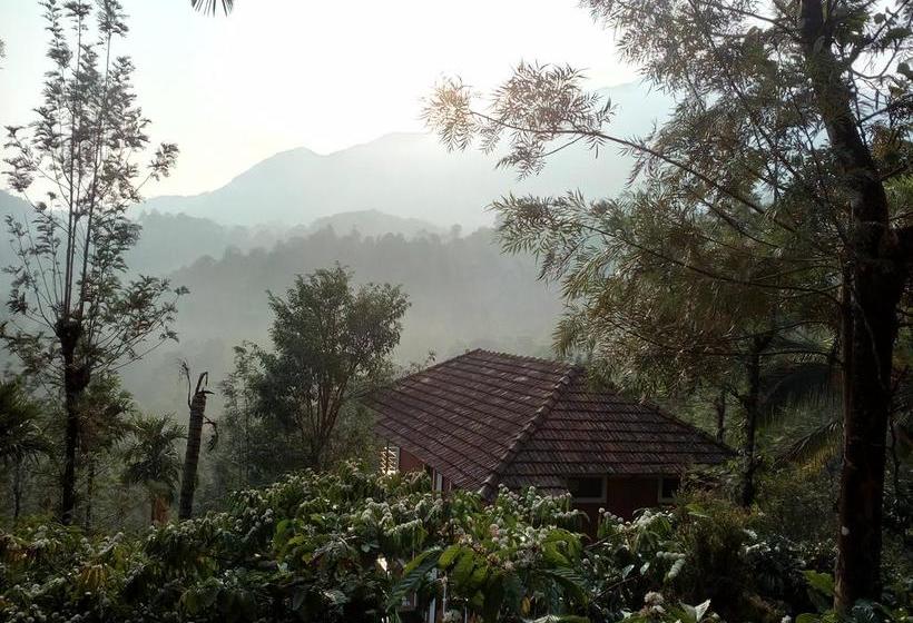 Resort Olive Mountain Hill View 10