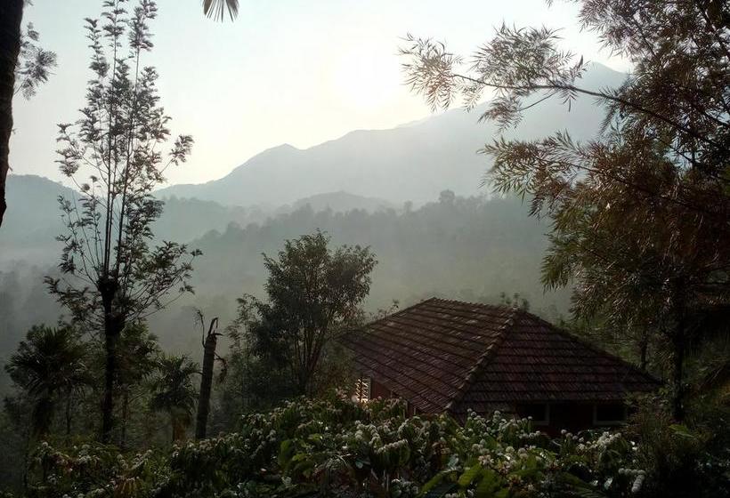 Resort Olive Mountain Hill View 16