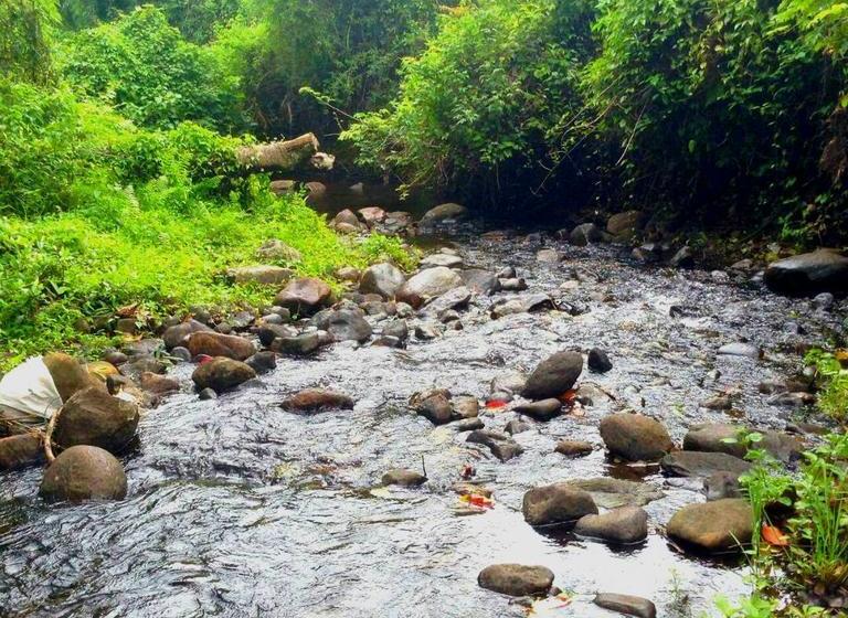 Resort Olive Mountain Hill View 18