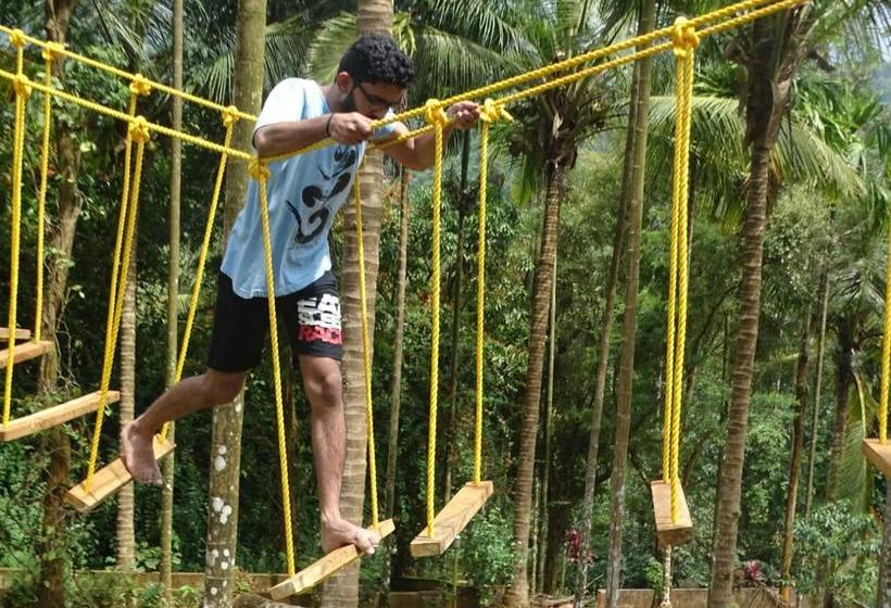 Resort Olive Mountain Hill View 2