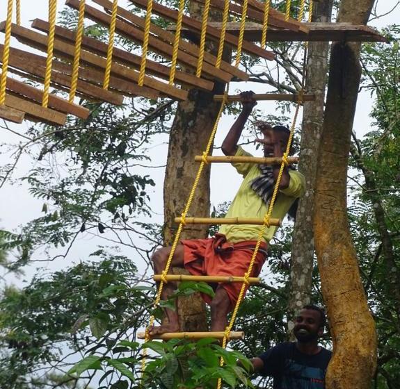 Resort Olive Mountain Hill View 20