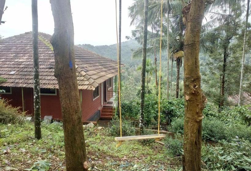 Resort Olive Mountain Hill View 3