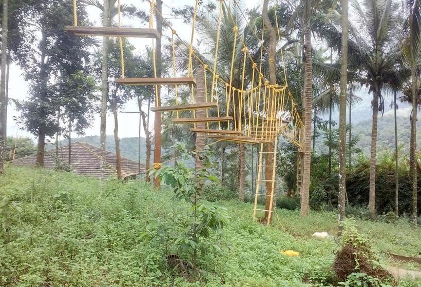 Resort Olive Mountain Hill View 4