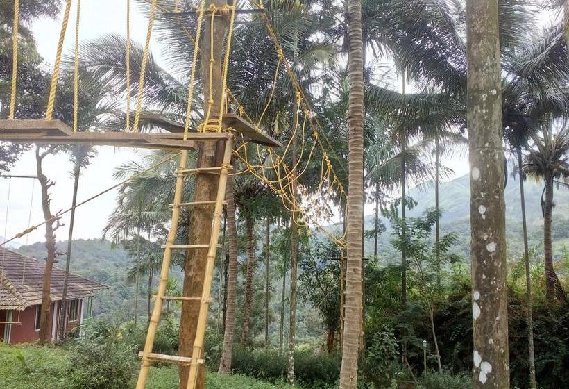 Resort Olive Mountain Hill View 5