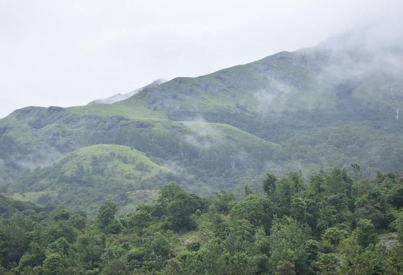 Resort Olive Mountain Hill View 6