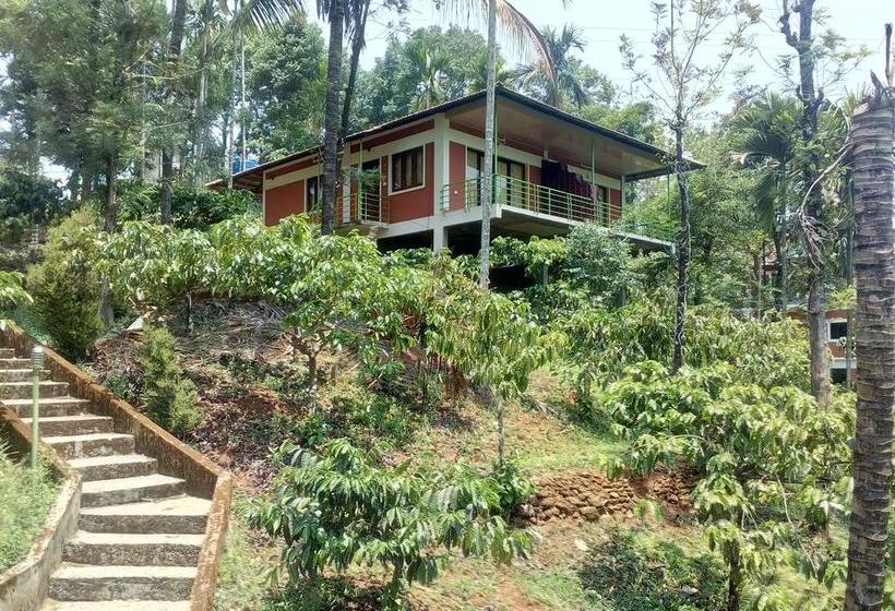 Resort Olive Mountain Hill View 8