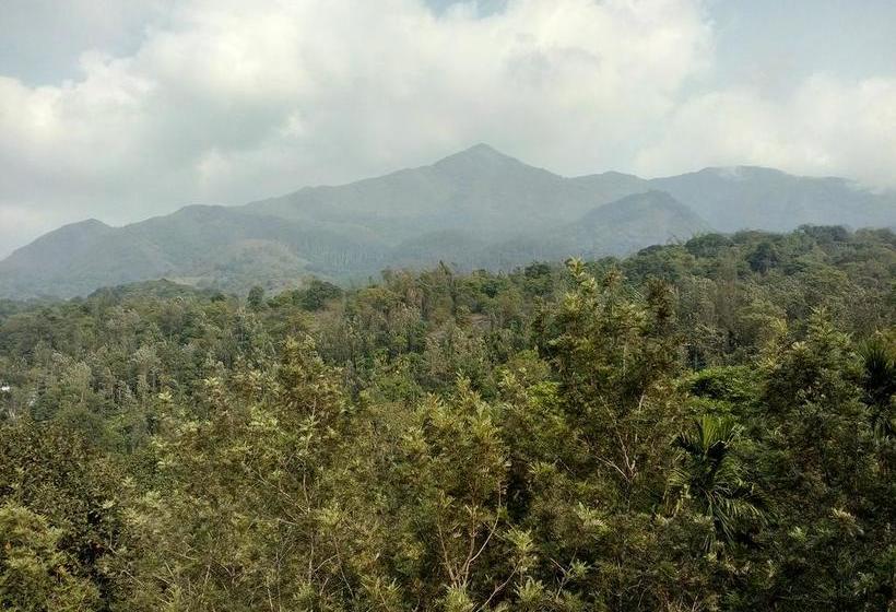 Resort Olive Mountain Hill View 9