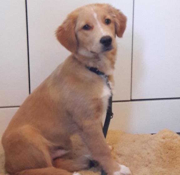 Hotel Rosengarten 11