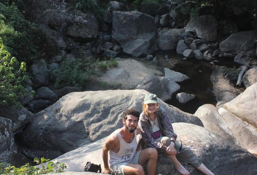 Bed and Breakfast Happylife Zostels Munnar 1