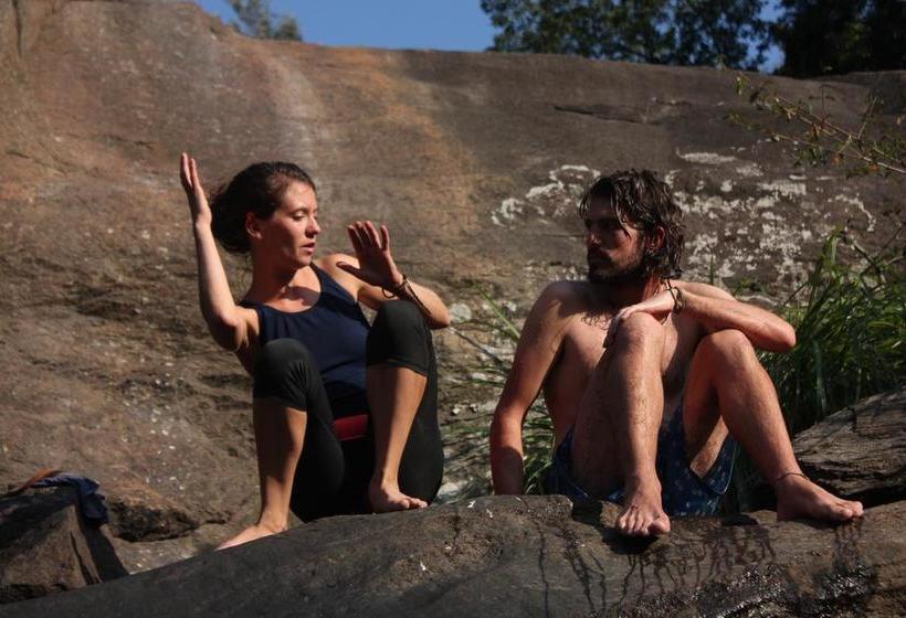 Bed and Breakfast Happylife Zostels Munnar 5