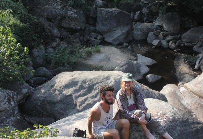 Bed and Breakfast Happylife Zostels Munnar 6