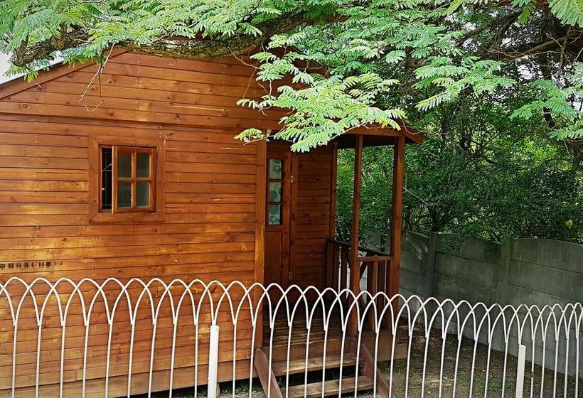 Hostel Mikasa Sukasa Backpackers 7