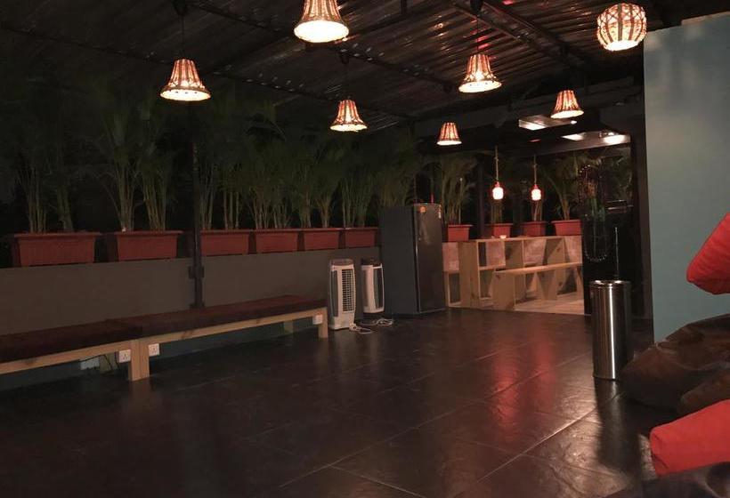 Hostel Bollywood Bed & Breakfast 7