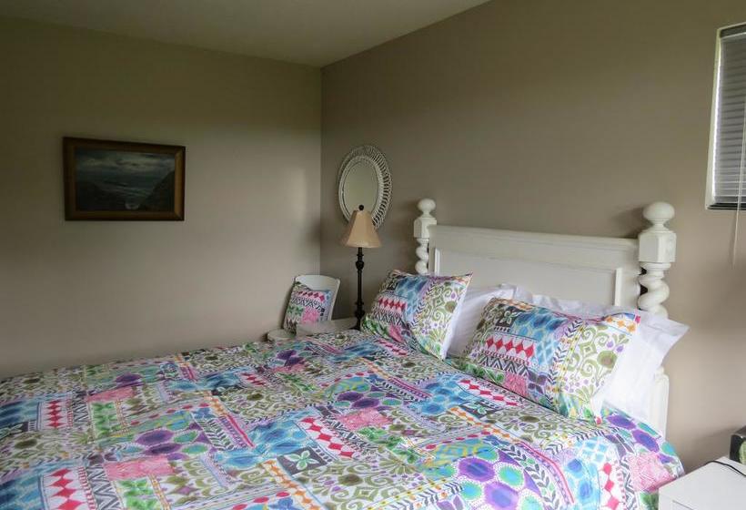 Bed and Breakfast Casa Kiwi 14