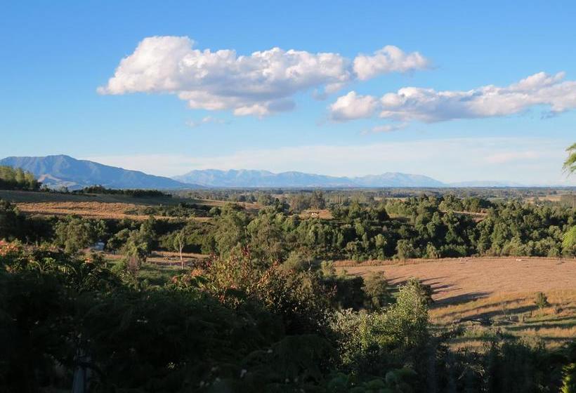 Bed and Breakfast Casa Kiwi 4